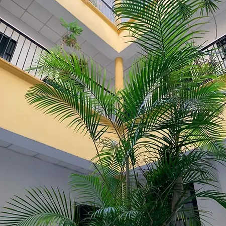 Sibilina House Centro Jerez * ヘレス