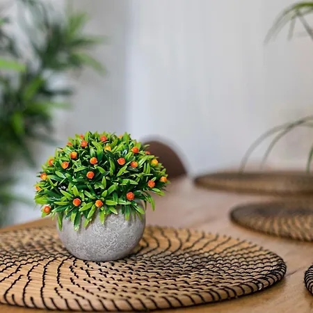 Sibilina House Centro Jerez ヘレス