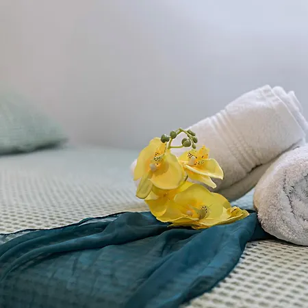 アパート Sibilina House Centro Jerez ヘレス