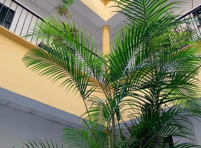 Sibilina House Centro Jerez * جيريز