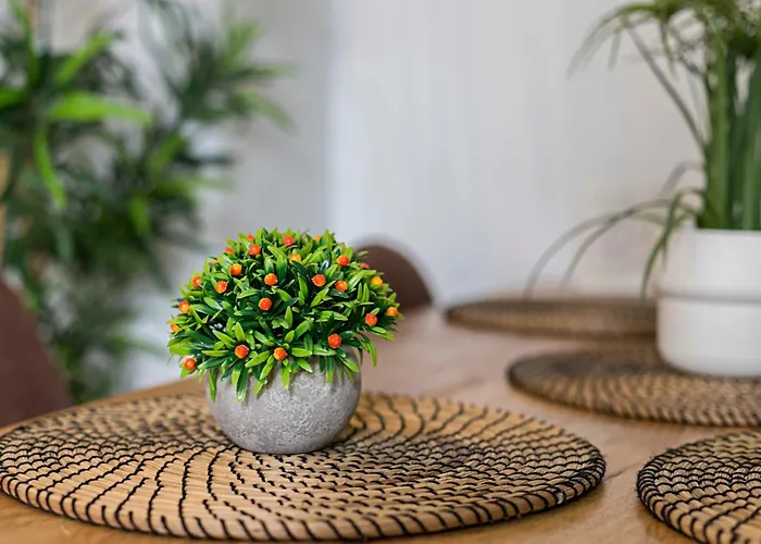 Sibilina House Centro Jerez جيريز